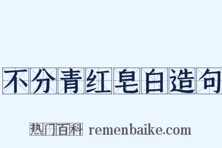 不分青红皂白造句是什么意思的图片